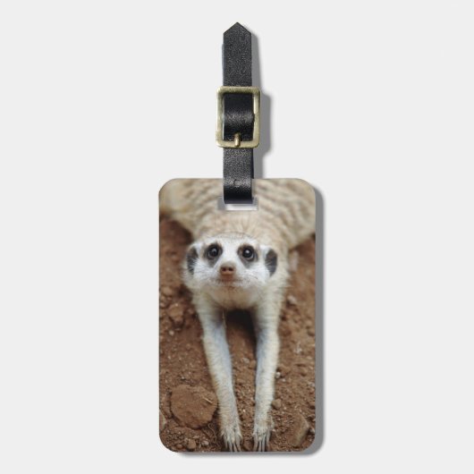 Meerkat (Suricata Suricatta) Kühlung Gepäckanhänger (Vorderseite vertikal)