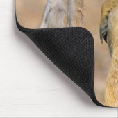 Meerkat (Suricata Suricatta) Sentinels, Karas Mousepad (Ecke)