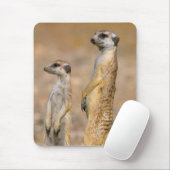 Meerkat (Suricata Suricatta) Sentinels, Karas Mousepad (Mit Mouse)