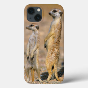 Meerkat (Suricata Suricatta) Wachposten, Karas Case-Mate iPhone Hülle