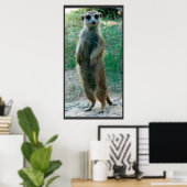 Meerkat Tall Poster (Heimbüro)