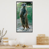Meerkat Tall Poster (Küche)
