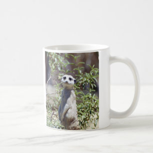 Meerkat Tasse