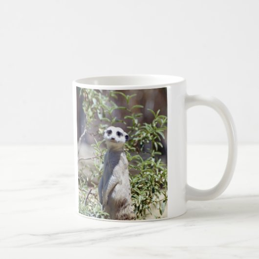 Meerkat Tasse (Rechts)