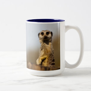 Meerkat Tasse