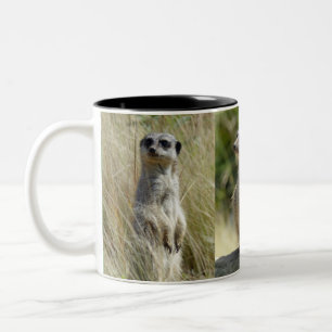 Meerkat Tasse