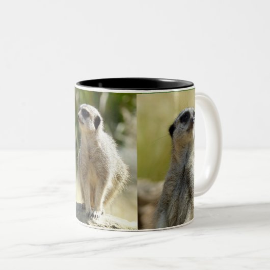 Meerkat Tasse (VorderseiteRechts)