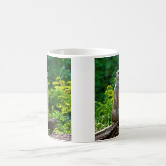 Meerkat-Tasse Kaffeetasse (Mittel)