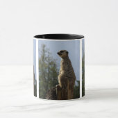 Meerkat-Tasse Tasse (Zentrum)