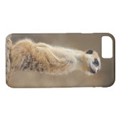 Meerkat Telefon-Kasten Case-Mate iPhone Hülle (Rückseite (Horizontal))