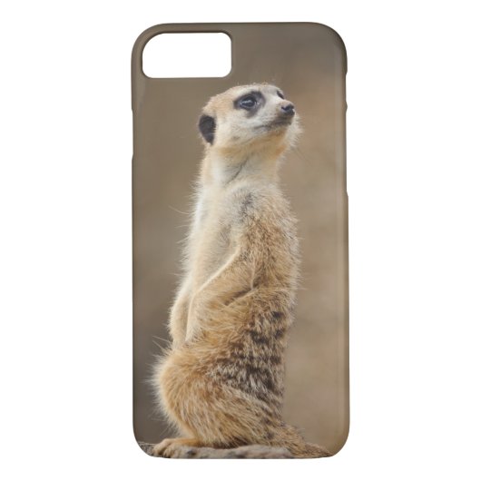Meerkat Telefon-Kasten Case-Mate iPhone Hülle (Rückseite)