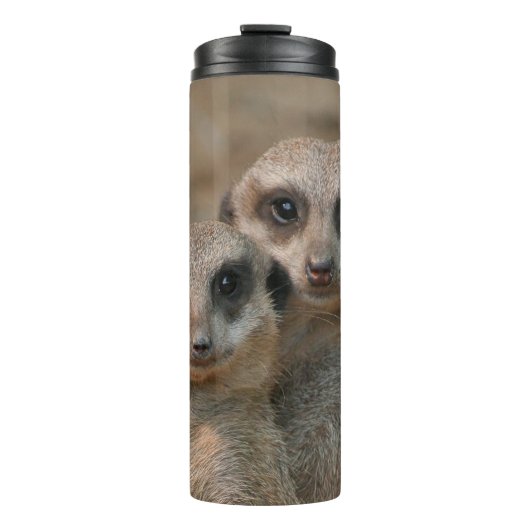 Meerkat Thermosbecher (Vorderseite)