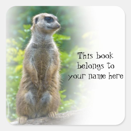Meerkat "This book gehört" Aufkleber (Vorderseite)