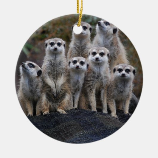 Meerkat Tiersafari Afrika niedliches Suricate Keramik Ornament (Vorne)