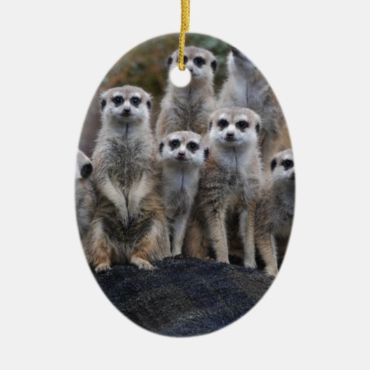 Meerkat Tiersafari Afrika niedliches Suricate Keramik Ornament (Vorne)
