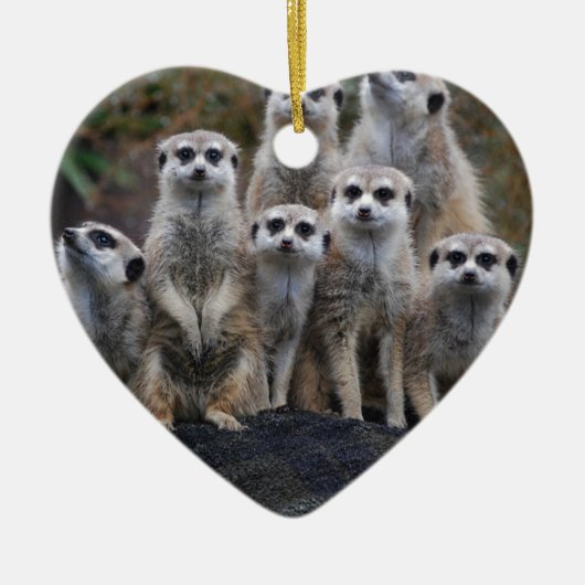 Meerkat Tiersafari Afrika niedliches Suricate Keramikornament (Vorne)