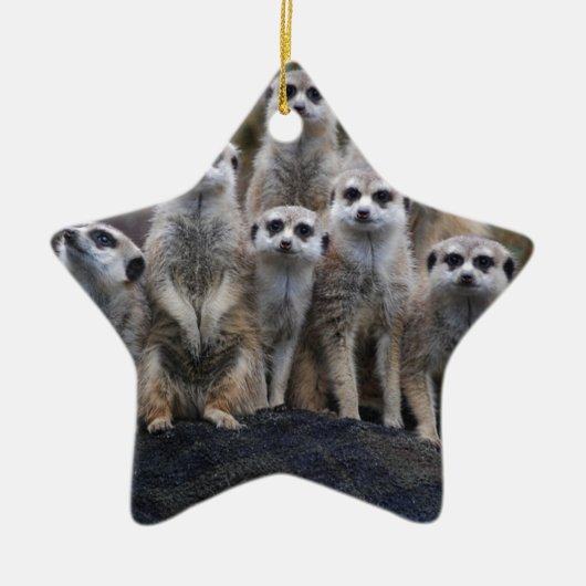 Meerkat Tiersafari Afrika niedliches Suricate Keramikornament (Vorne)