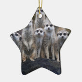 Meerkat Tiersafari Afrika niedliches Suricate Keramikornament (Links)