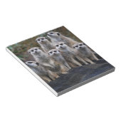 Meerkat Tiersafari Afrika niedliches Suricate Notizblock (angewinkelt)