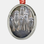 Meerkat Tiersafari Afrika niedliches Suricate Silbernes Ornament (Links)