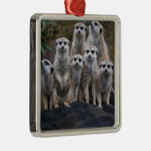 Meerkat Tiersafari Afrika niedliches Suricate Silbernes Ornament (Rechts)