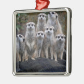 Meerkat Tiersafari Afrika niedliches Suricate Silbernes Ornament (Links)
