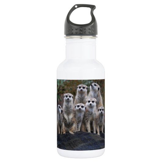 Meerkat Tiersafari Afrika niedliches Suricate Trinkflasche (Vorderseite)