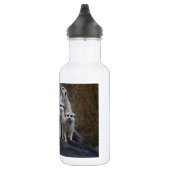 Meerkat Tiersafari Afrika niedliches Suricate Trinkflasche (Rechts)
