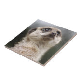 Meerkat Tile Fliese (Seite)