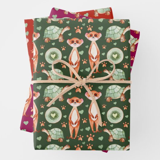Meerkat Tortoise Kiwi Wrapping Paper Set 3 Geschenkpapier Set (Beispiel)