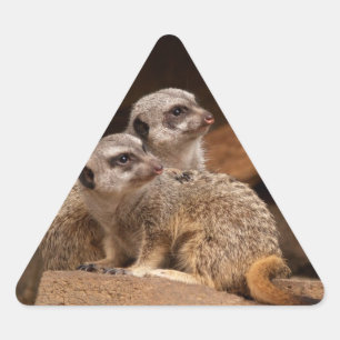 Meerkat Triangle Sticker