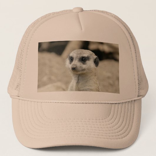 Meerkat Truckerkappe (Vorderseite)
