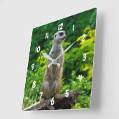Meerkat Uhr (Winkel)