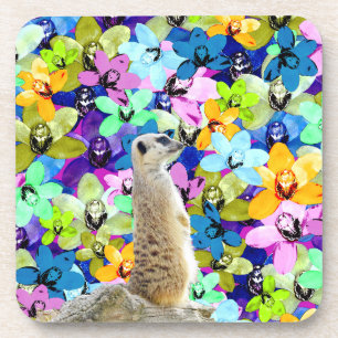 Meerkat- und Aquarellorchideen, Getränkeuntersetzer
