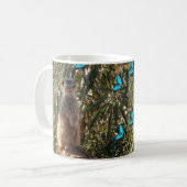 Meerkat und blaue Schmetterlinge, Kaffeetasse (Vorderseite Links)