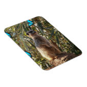 Meerkat und blaue Schmetterlinge, Magnet (Rechte Seite)