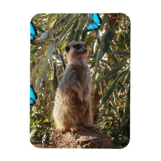 Meerkat und blaue Schmetterlinge, Magnet (Vertikal)