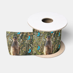 Meerkat und blaue Schmetterlinge, Satinband