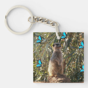 Meerkat und blaue Schmetterlinge, Schlüsselanhänger