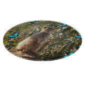 Meerkat und blaue Schmetterlinge, Schneidebrett (Ecke)