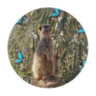 Meerkat und blaue Schmetterlinge, Schneidebrett