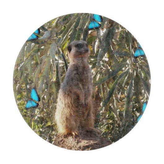 Meerkat und blaue Schmetterlinge, Schneidebrett (Vorderseite)