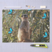 Meerkat und blaue Schmetterlinge, Seidenpapier (Handwerk)