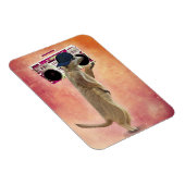 Meerkat und Boom Box Magnet (Rechte Seite)