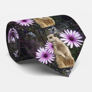 Meerkat und Daises, Krawatte