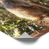 Meerkat und große grüne Blätter, Poster (Ecke)