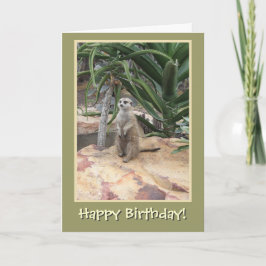 Meerkat und Happy Birthday Karte
