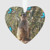 Meerkat und Schmetterlinge, Ornament (Vorderseite)