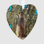 Meerkat und Schmetterlinge, Ornament (Vorderseite)
