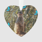 Meerkat und Schmetterlinge, Ornament (Rückseite)